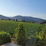 Vinesinn