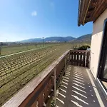Apartament Vinesinn