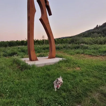 Vinesinn Apartman Maikammer