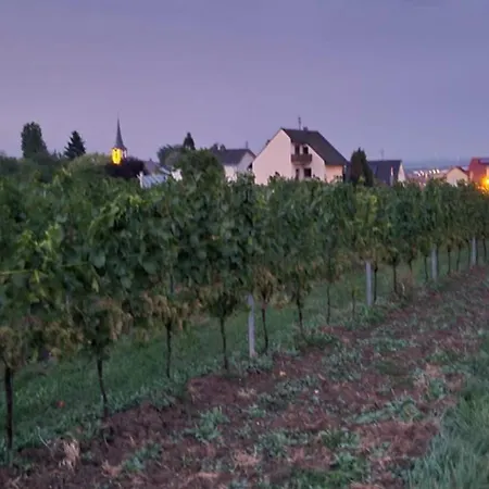 Vinesinn * Maikammer