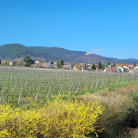 Vinesinn Apartman Maikammer