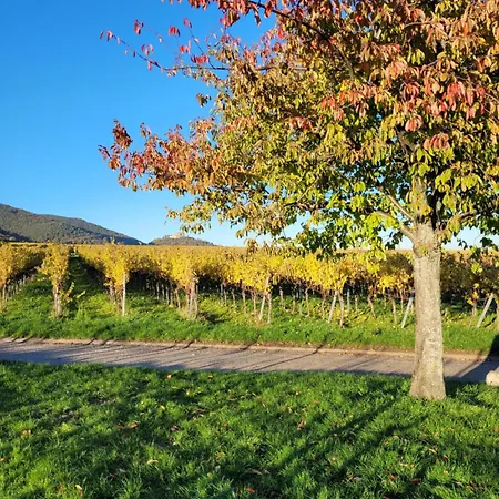 Apartman Vinesinn Maikammer