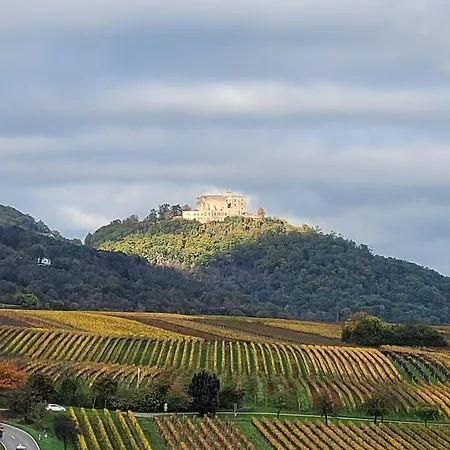Vinesinn *