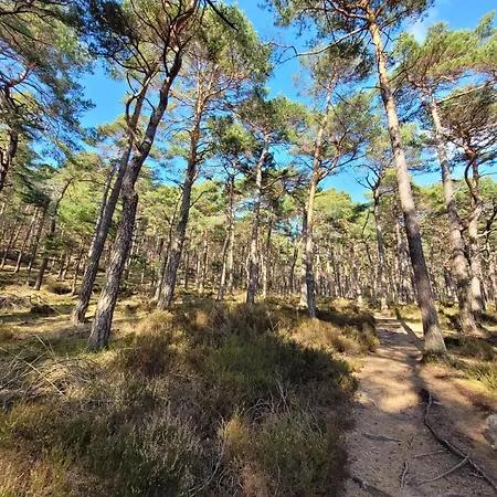 Vinesinn * Maikammer