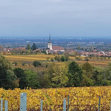 Vinesinn