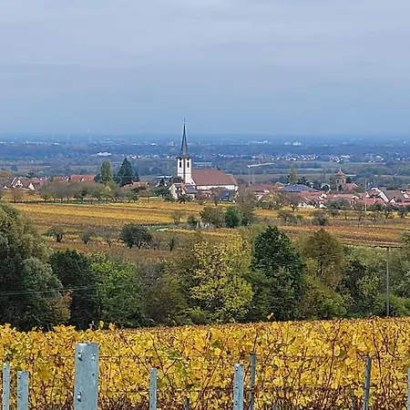 Vinesinn
