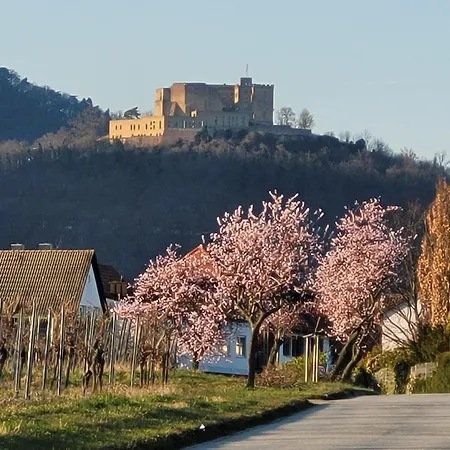 Vinesinn *