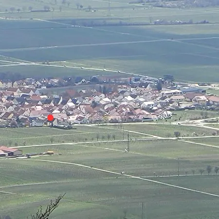 Vinesinn * Maikammer