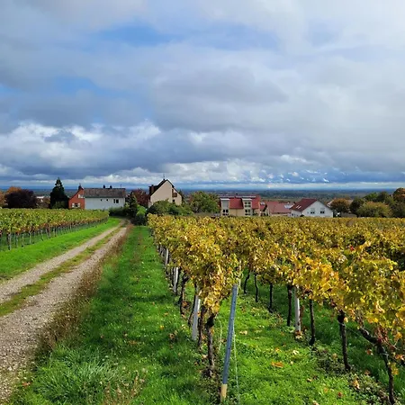 Vinesinn