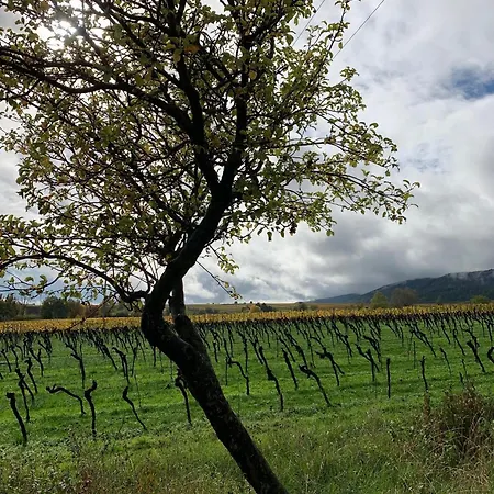 Apartman Vinesinn Maikammer