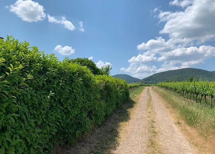 Vinesinn * Maikammer