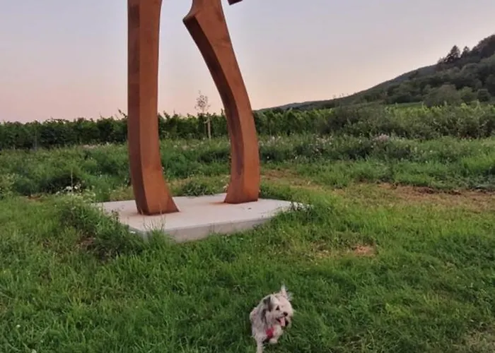 Vinesinn Apartment Maikammer