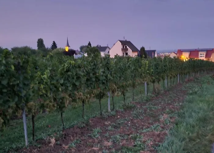 Vinesinn * Maikammer