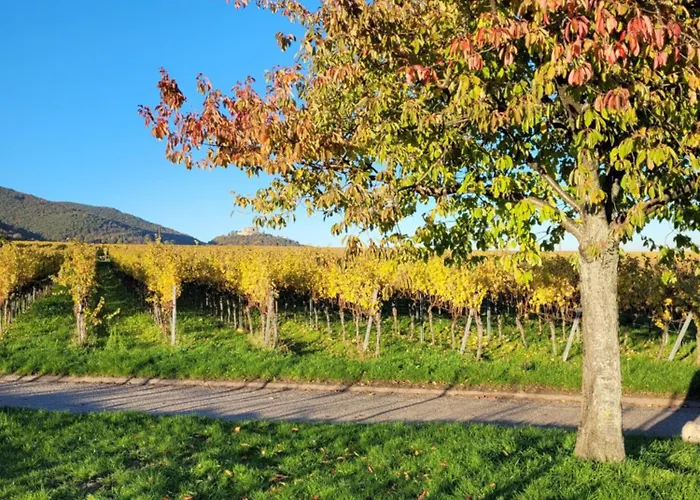 Apartment Vinesinn Maikammer