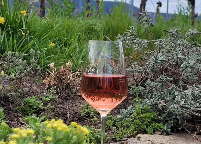 Apartment Vinesinn *