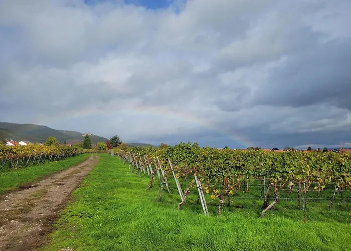 Apartment Vinesinn Maikammer