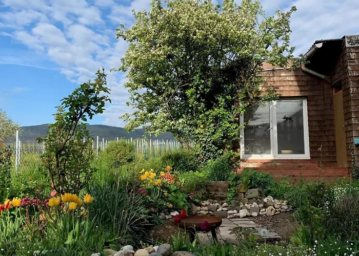 Vinesinn Apartamento