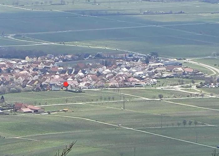 Vinesinn * Maikammer