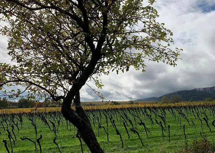 Apartment Vinesinn Maikammer